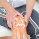 팜 휘트니스 이미지