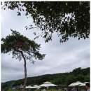 한결행정사사무소 - 금천구 삼성산길 7 | 한결행정사사무소