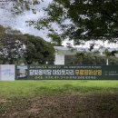 담빛음악당 무료 영화 상영 이미지