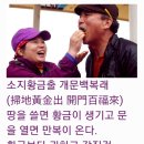 소지황금출 개문백복래 이미지