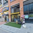 슈슈댕 구래점 이미지