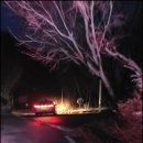 기산마을 정자 옆 | 팔공지맥 3구간,한티재-부계봉-치키봉-가산-황학분기봉-모래재-갈매기산-연화바위산-갈비재-효령재,