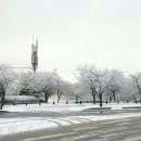 설봉공원 이미지