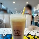 설렘고양이카페 이미지