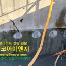 영원수산 이미지