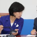 갈라 이미지