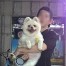 매화로2길 이미지