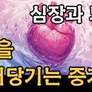 심장은 파동의 원천 이미지