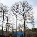 ㈜여주자원환경 | 여주가볼만한곳 “황학산 수목원” 자연과 인간이 교감할 수 있는 공간