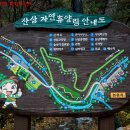 산삼자연휴양림 이미지
