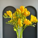 여주-0707 이미지