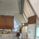 바른자세 테라피 이미지