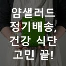 얌샐러드 | 얌샐러드 정기배송, 건강 식단 고민 끝!