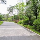 비전부동산공인중개사사무소 이미지