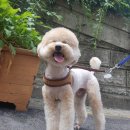 유니독스 이미지