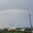 프리타임 이미지