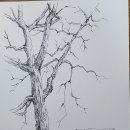 나무와 벤치(어반스케치) 이미지