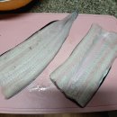 멜로테일 이미지