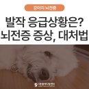 온마음 동물메디컬센터 이미지