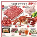 샤인몽스 이미지