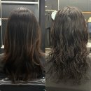 에이치파마 | 발산역 미용실 파마추천 레이어드 S컬 빈티지펌 후기 에이치엔알헤어 마곡발산점