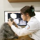 당고개동물병원 이미지