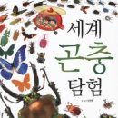 명우투어