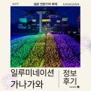 대정호수 | 도쿄 근교 사가미호수 플레저 포레스트 일루미네이션 축제