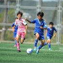 ［1005］2014 전국 초등 축구리그 왕중왕전 16강 경기김포 JIJ FC 0 : 1 경기 수원삼성 U-12 이미지