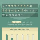 내모메