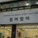 프리미엄 펫베이커리&펫푸드카페 멈머맘마 이미지