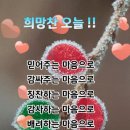 12월12일(화) 출석부/ 희망은 꼭 필요합니다 이미지