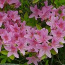 화천박물관 이미지