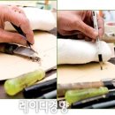 세창정형제화연구소