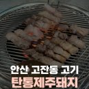 탄통제주돼지 | 안산 고잔동 고기 맛집 추천 탄통제주돼지 대만족 후기