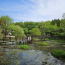 물향기공원 | 오산 물향기수목원 피크닉 명당 &amp; 주차 요금: 초등 5학년 식물 관찰 교과 연계 가이드
