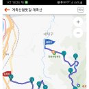 장동로~산디로 이미지