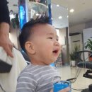 파마짱 이미지