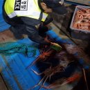 동해-단속-19 이미지