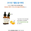 에비히 (Ewig) 이미지