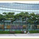 꽃무릇공원 이미지