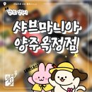 샤브마니아 양주옥정점