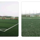 에코실외구장 이미지