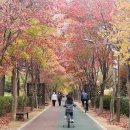 푸른길약국 | ADHD 일지도 모르니까 영양제부터 사자. (철분, 오메가3, 칼슘, 마그네슘)