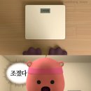 제트라인 | 제트헬퍼 아무도모르게 나이트번 시즌4 / 리얼 사용 후기 🖤