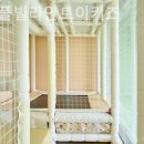 남해 풀빌라 안토이 키즈 이미지