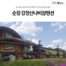 강천산 나비잠 이미지