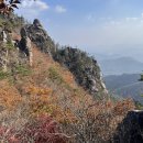 산타 야영장 이미지