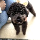 학섬식당펜션 이미지