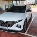 버블가이 이미지